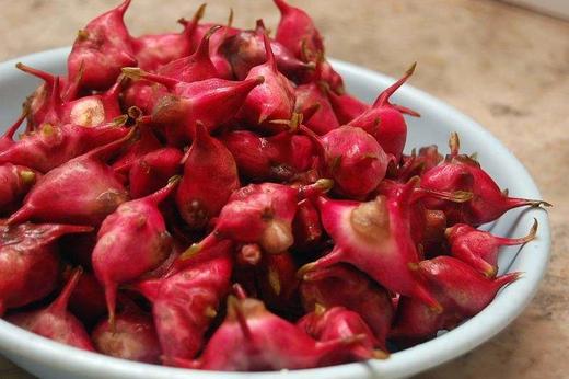 新鲜现摘产地直供批发价新鲜南湖红菱角正当季1500克补脾益气健脾强股