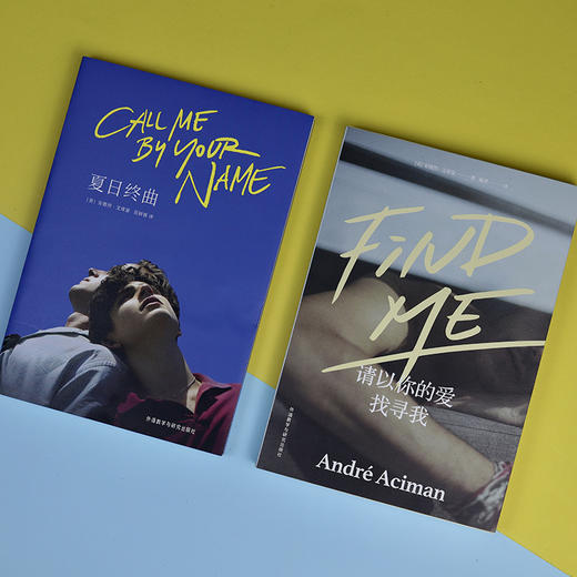 请以你的名字呼唤我（夏日终曲+请以你的爱找寻我）（套装共2册）Call Me by Your Name外国文学 商品图2