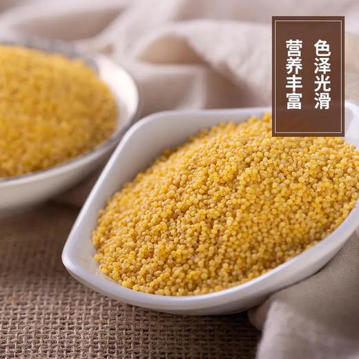 沂蒙山黄小米，现磨现发，滋补养胃 商品图2