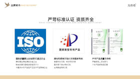 岚格格蚕丝面膜