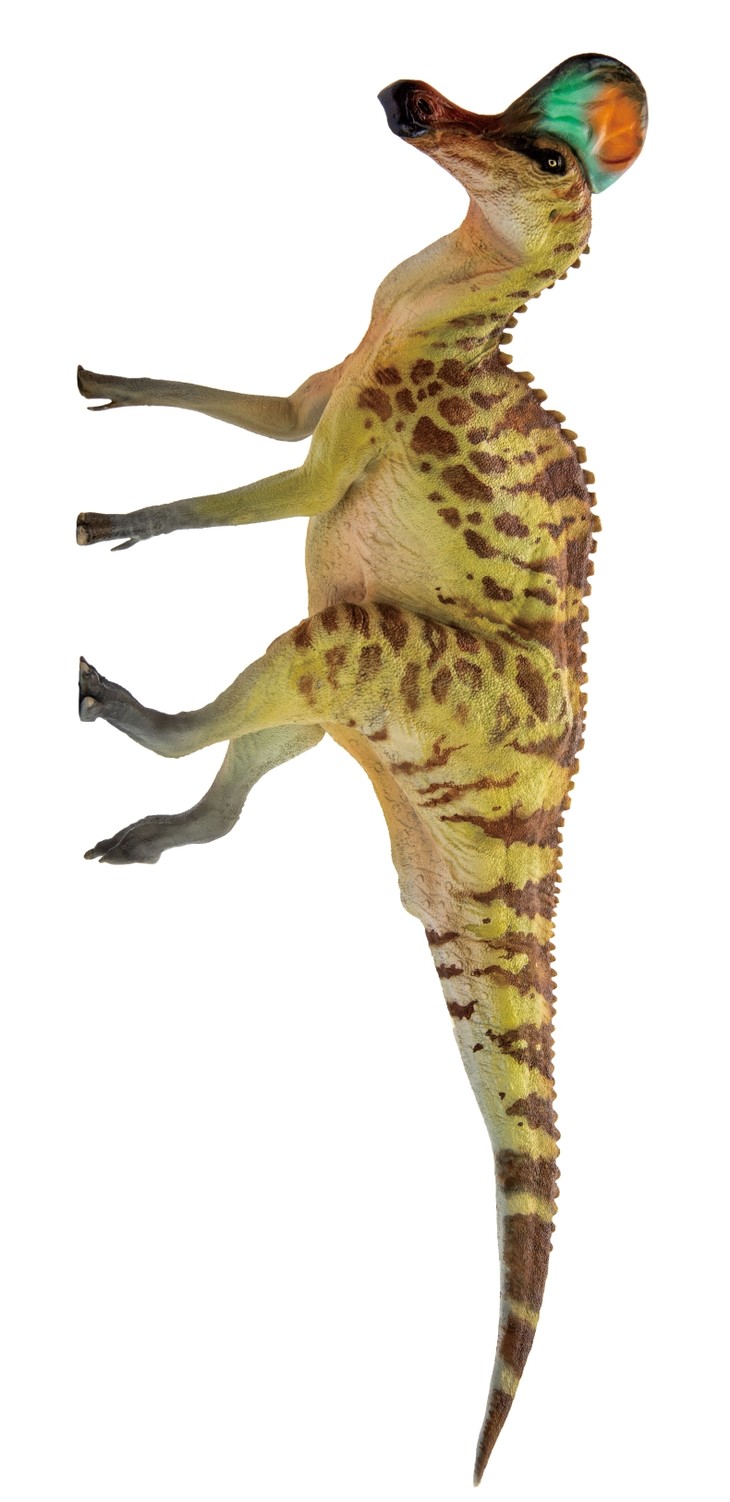 pnso盔龙卡洛琳恐龙大王成长陪伴模型28