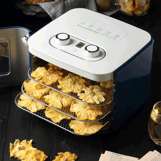 英国摩飞干果机小型水果蔬烘干机家用宠物零食品肉干风干机 商品图0