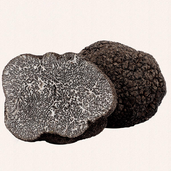 食用黑松露菌新鲜当季云南山珍食用菌特产营养菌菇 500g 顺丰空运