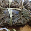 【太湖螃蟹】10只精品活蟹 高品质实重发货 商品缩略图4