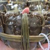 【太湖螃蟹】10只精品活蟹 高品质实重发货 商品缩略图1