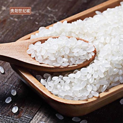 【gy】金龙鱼雪梗小町米5kg