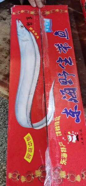 【17.9元一箱】整箱带鱼1箱*5斤左右（1501376）