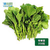 冬寒菜 商品缩略图0