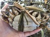 【太湖螃蟹】10只精品活蟹 高品质实重发货 商品缩略图5