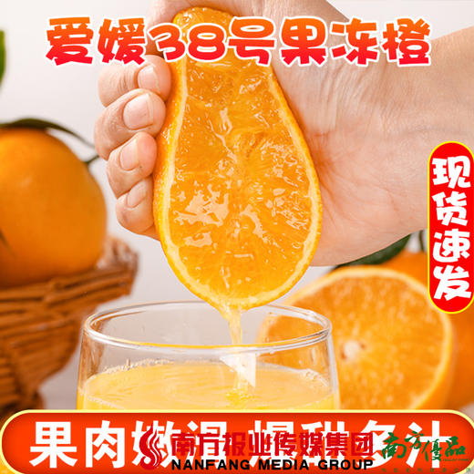【全国包邮】爱媛38号果冻橙（72小时之内发货） 商品图1