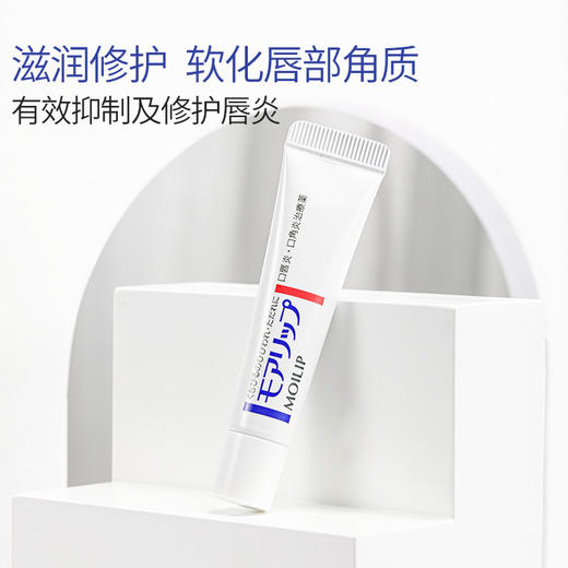 资生堂润唇膏8g 商品图7