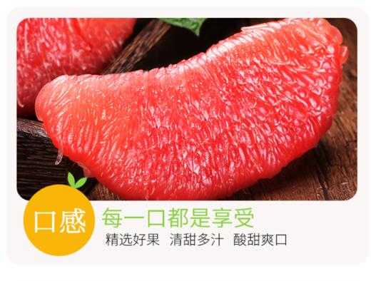 【珠三角包邮】100斤山东红富士苹果+100个梅州蜜柚+5盒水果礼盒  （9月27日到货） 商品图0