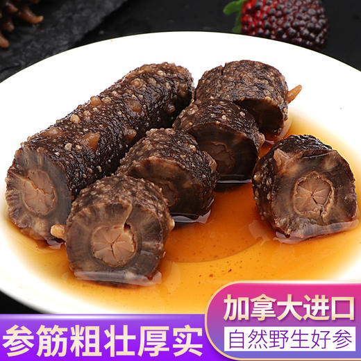 Ocean Feast阿拉斯加红刺参袋装【25头/454g】 商品图4