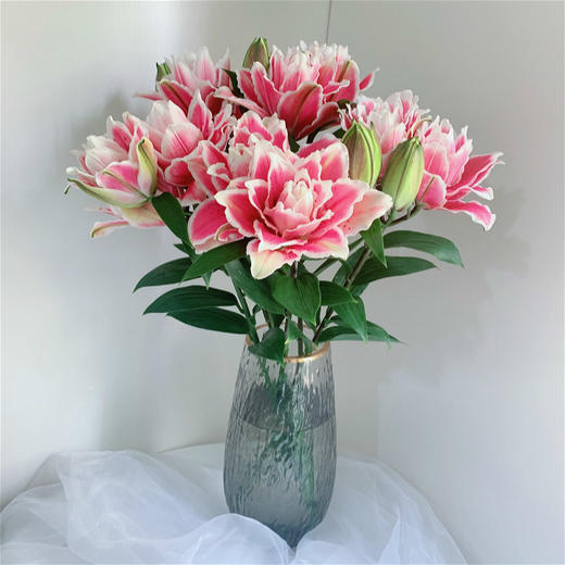 火星之恋重瓣百合12朵/20朵 冷链包邮