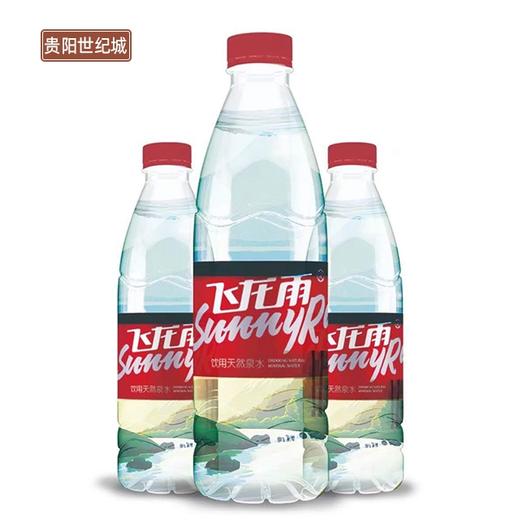 【gy】飞龙雨瓶装水520ml