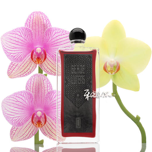 芦丹氏 欢场之子欢乐之子 Serge Lutens Fils de Joie 小样/正装 商品图0