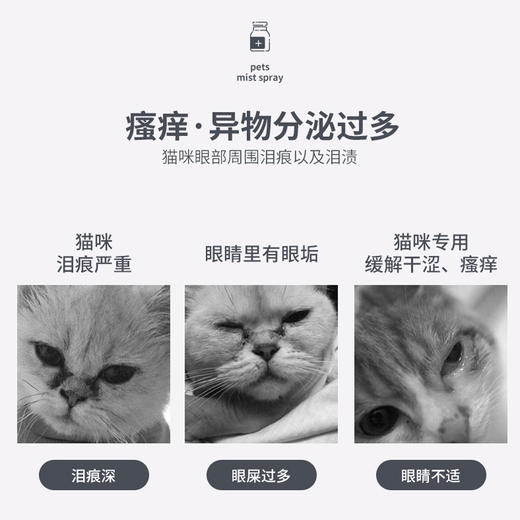 道力其明目舒滴眼液60ml 猫咪专用 去泪痕眼垢 商品图4