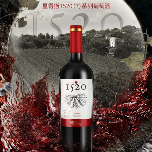 1520【7】干红葡萄酒 750ml*6瓶 洋河星得斯 商品图4