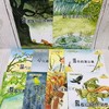 微童话 注音美绘版 大自然幻想微童话集(全10册) 商品缩略图3