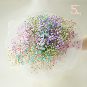 COLORFUL Flower｜五周年限定