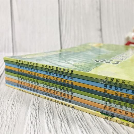 微童话 注音美绘版 大自然幻想微童话集(全10册) 商品图2