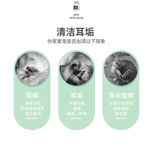 道力其猫耳清60ml 猫咪滴耳液 去异味 清洁耳道 厂家直供 商品图5