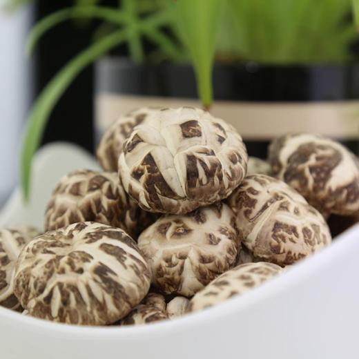 散250g  瑞和泰 大段木 白花菇 ±5g 商品图1