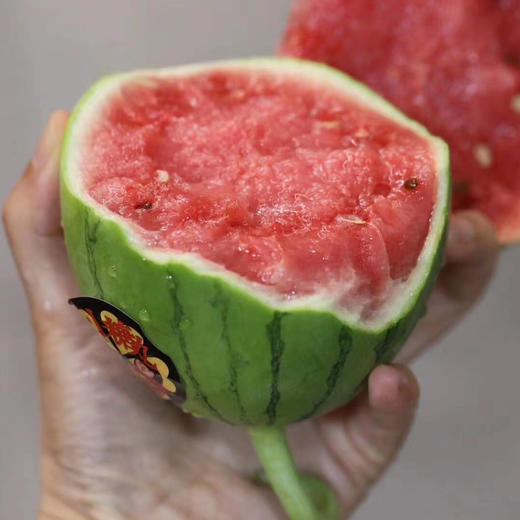 【小糖丸 西瓜】迷你小糖丸西瓜，肉质超嫩，指弹即破，瓜瓤甜美多汁，推荐品尝！ 商品图2