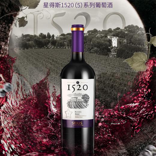 1520【5】干红葡萄酒 750ml*6瓶 洋河星得斯 商品图4