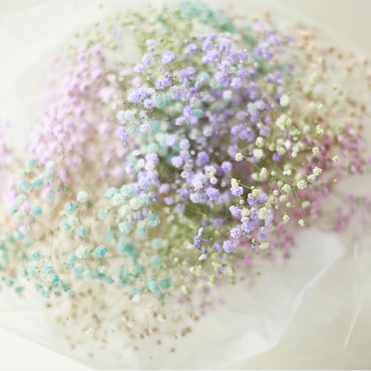 COLORFUL Flower｜五周年限定 商品图2