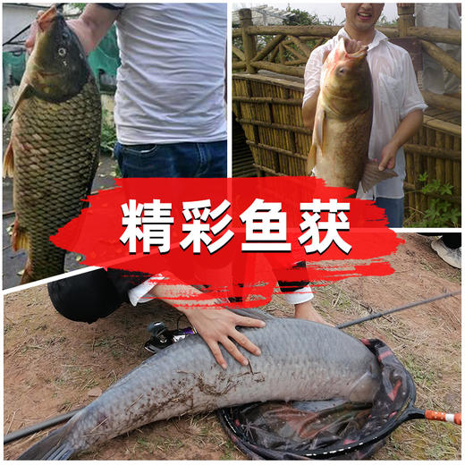 佳钓尼巨物钩进口鱼钩散装有倒刺青鱼钩黑坑歪嘴加粗大物钩鲟鱼钩 商品图4