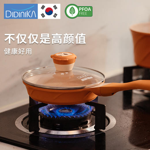 迪迪尼卡辅食锅（带蒸屉） 商品图10