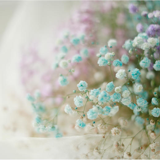 COLORFUL Flower｜五周年限定 商品图3