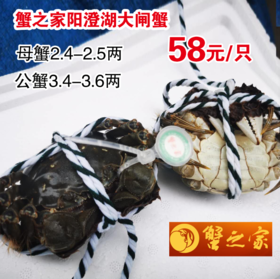 蟹之家阳澄湖大闸蟹