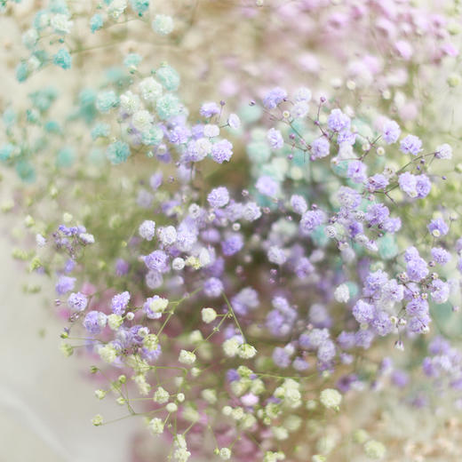 COLORFUL Flower｜五周年限定 商品图1