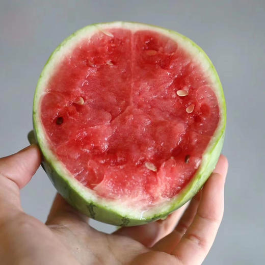 【小糖丸 西瓜】迷你小糖丸西瓜，肉质超嫩，指弹即破，瓜瓤甜美多汁，推荐品尝！ 商品图6