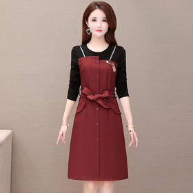 YW-JTF2830气质减龄收腰时尚长袖连衣裙