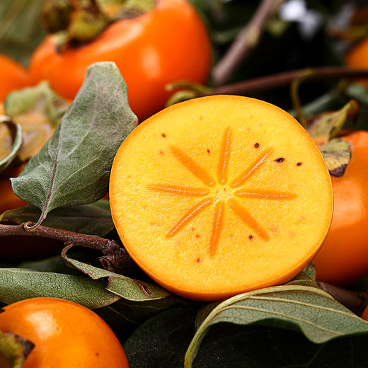 山西61脆柿子自带冰糖心蜜甜不涩口肉厚皮薄果形饱满0202甜嫩