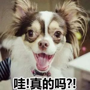 ���� ��家����表���