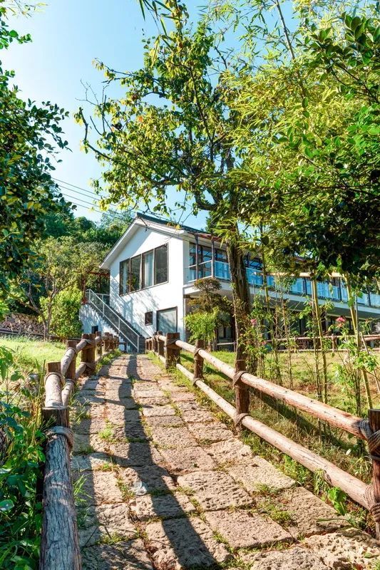 云和梯田边的方舟民宿——云和稻田民宿