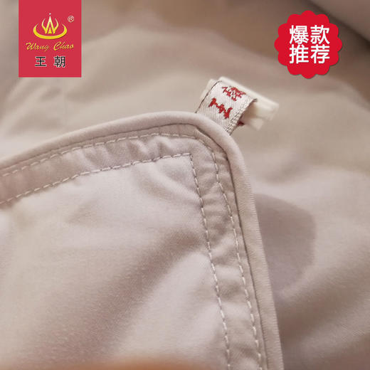 王朝舒欣羽绒被 商品图2