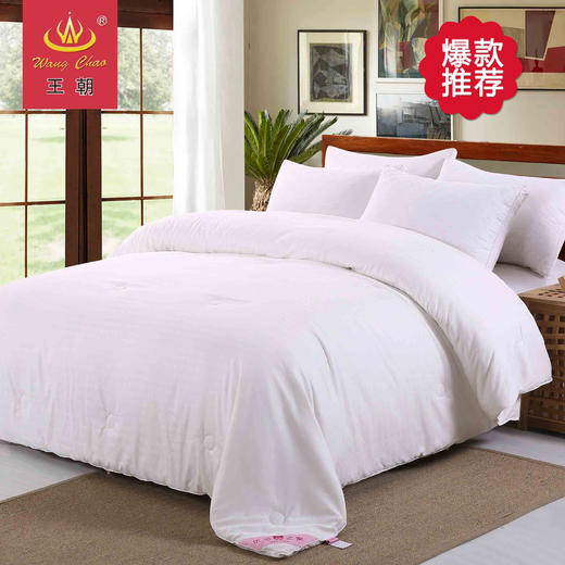 王朝乐活蚕丝被 商品图0