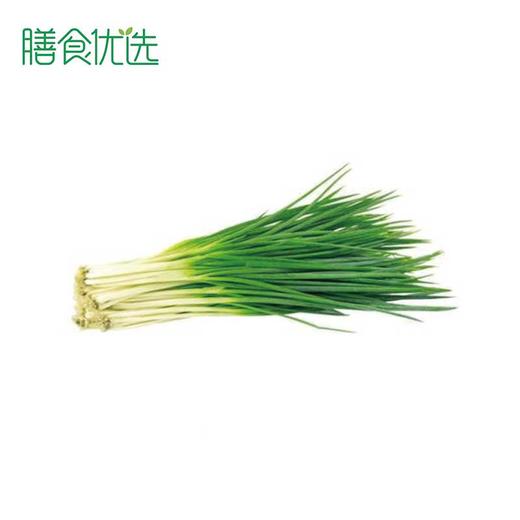 香葱 约50g 商品图0