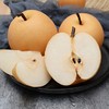 【山东秋月梨礼盒】8-10头/箱，水嫩清脆、入口化渣 商品缩略图2