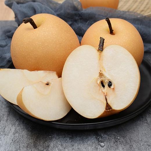 【山东秋月梨礼盒】8-10头/箱，水嫩清脆、入口化渣 商品图2
