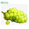牛奶葡萄 约500g 商品缩略图0