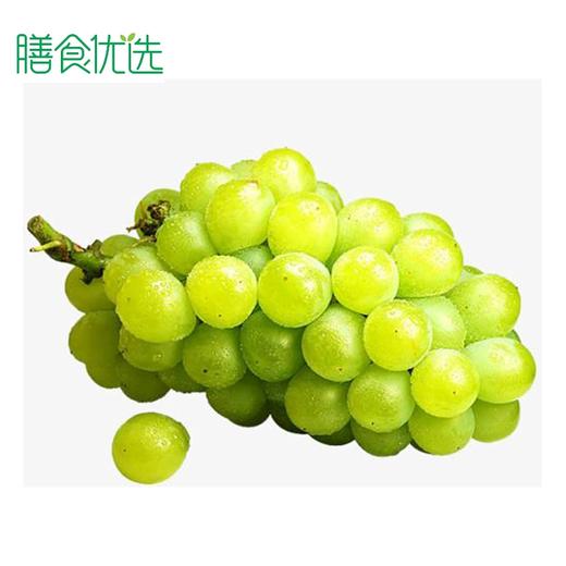 牛奶葡萄 约500g 商品图0