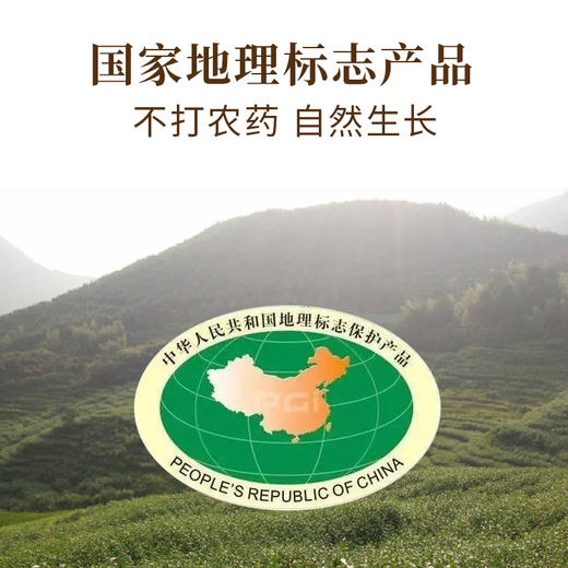 食味的初相 浦城山薏仁 糯、甘、稠 获国家地理标志保护 500g 商品图2