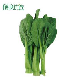 菜心苗 约250g