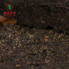 黑茶 湘益 2020年 湖南黑茶 1kg 商品缩略图2
